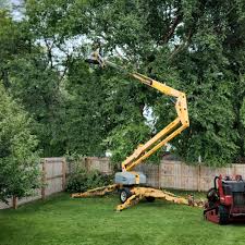 Mulching Services in Irvine, CA